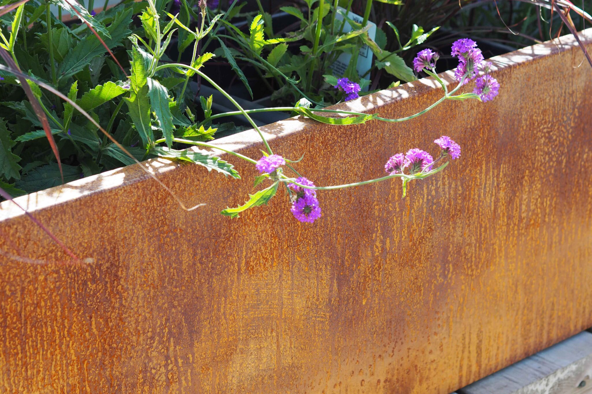 Steel Planters by Boon