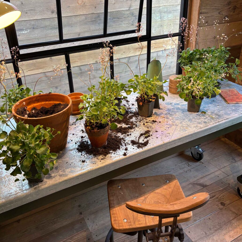 Chelsea Shed by Boon