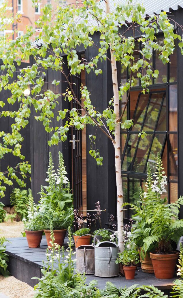 Chelsea Shed by Boon